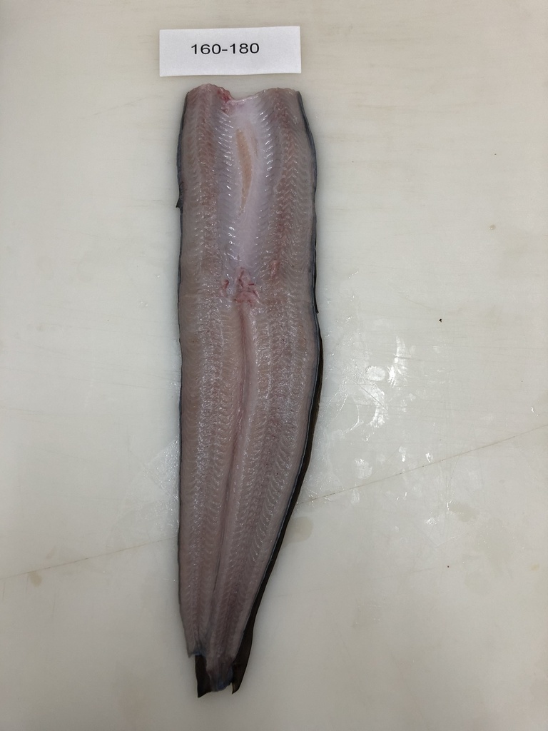 KABAYAKI EEL 230-300 gr