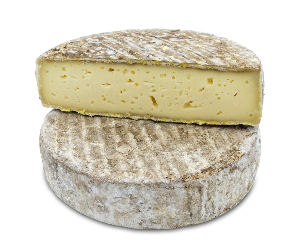TOMME DES ALPES LT