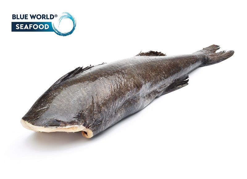 Black cod (sablefish) 5-7lb