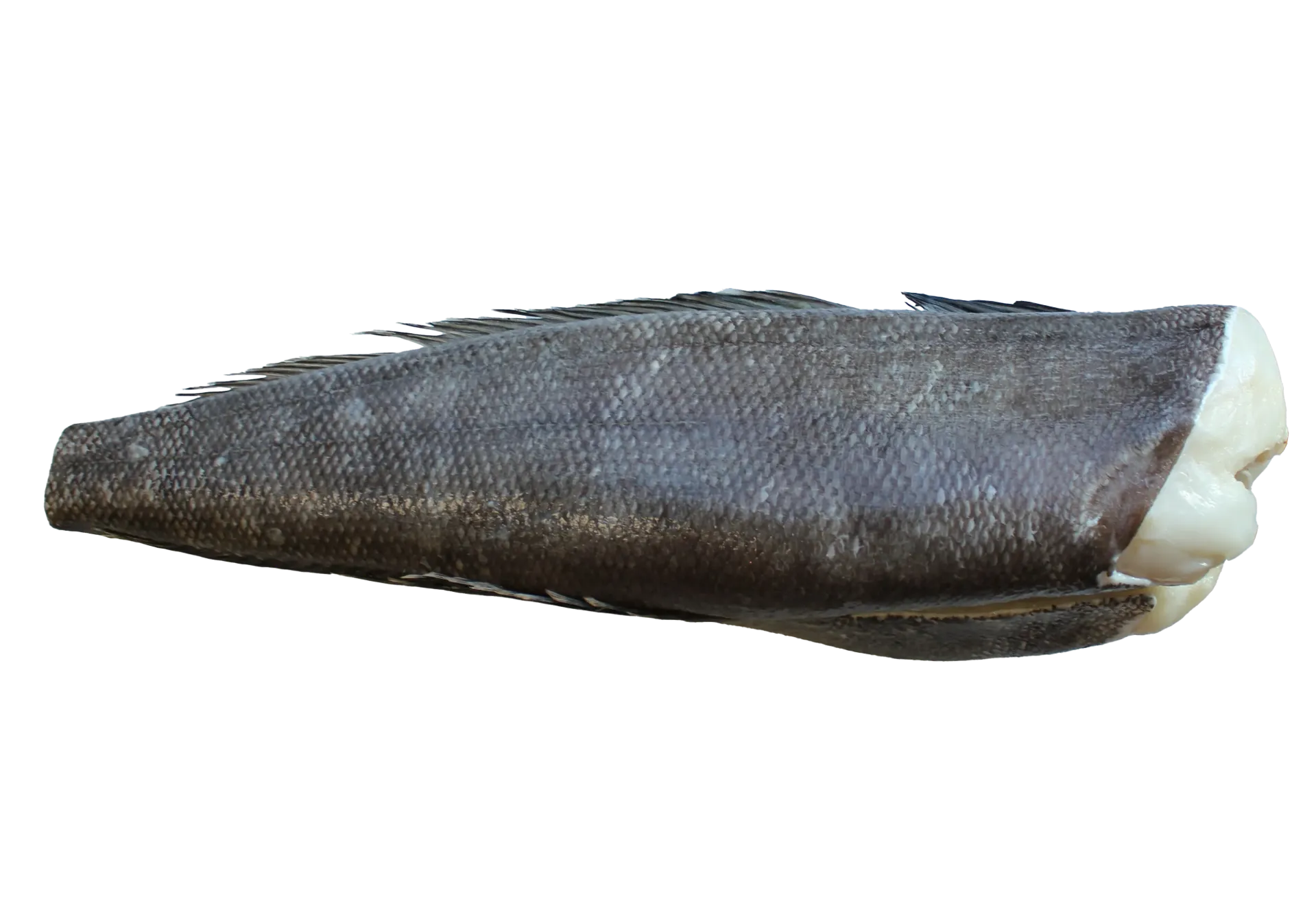 Patagonian toothfish fillets 2-3Kg