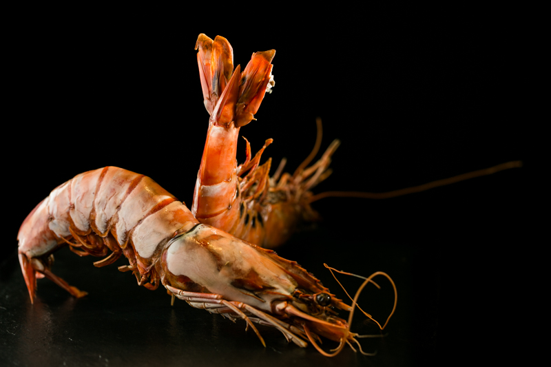 Crevette entière crue – Sauvage-congelée Bord – Penaeus monodon - Calibre 6/8