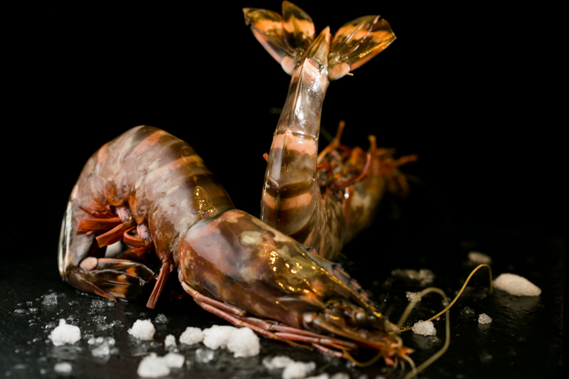 Crevette entière crue – Sauvage- congelée Bord – Penaeus monodon - Calibre 4/6