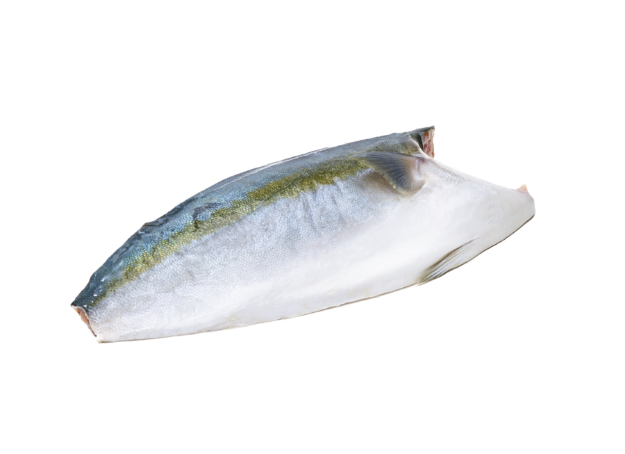 Hamachi fillets 1,3kg+