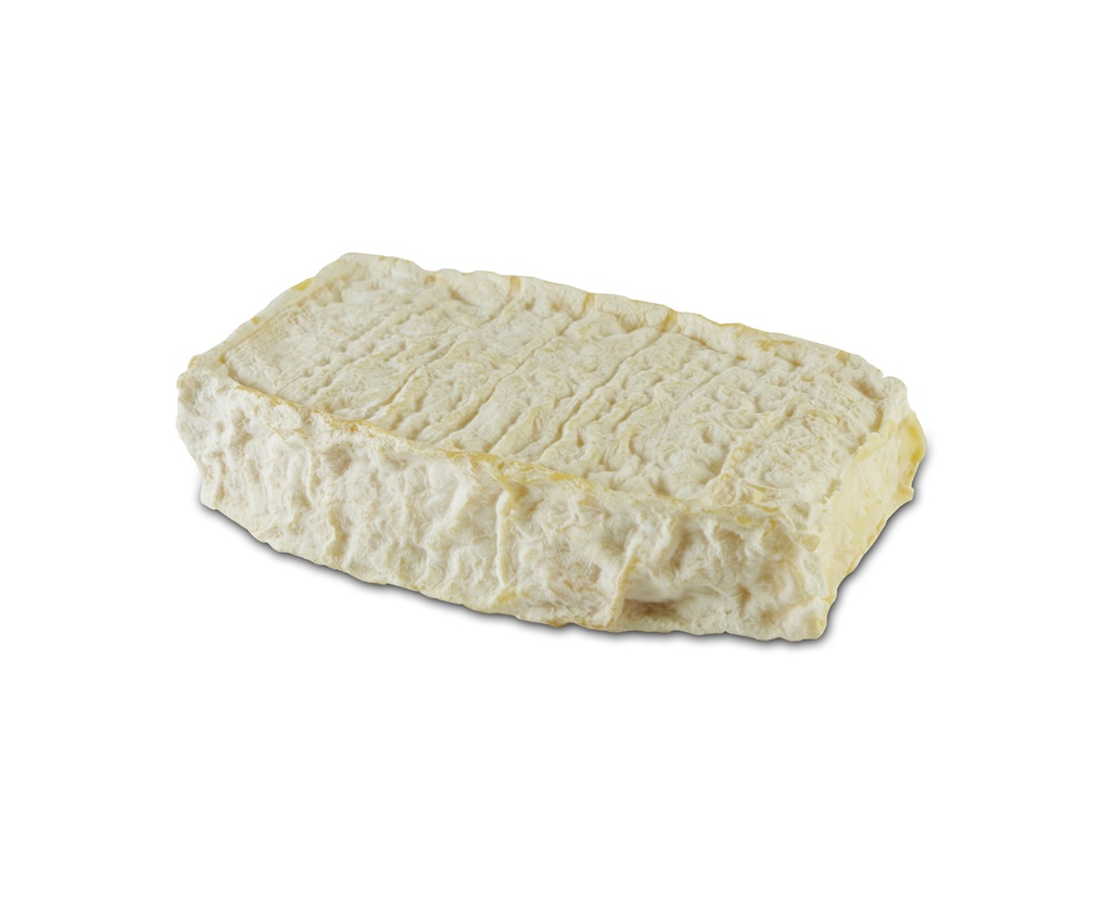 FLEUR DES MARAIS SALANTS