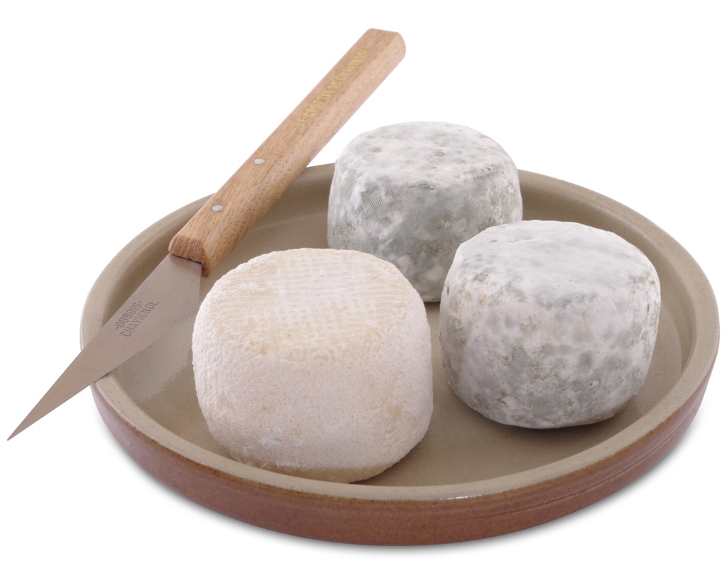 [BEI-24] CROTTIN DE CHAVIGNOL