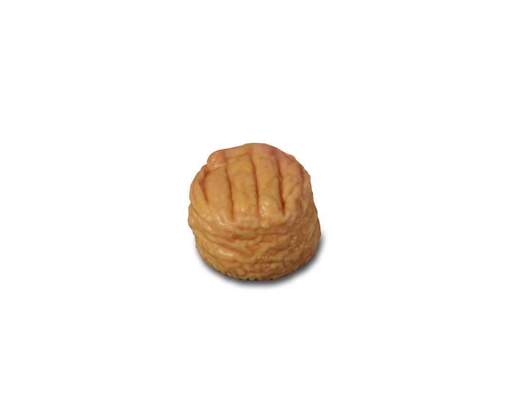 [BEI-311] TROU DU CRU