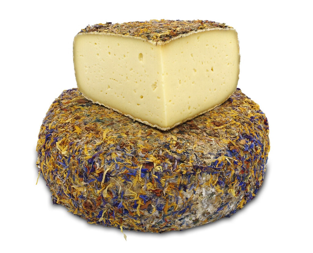 [BEI-5782] TOMME AUX 7 FLEURS