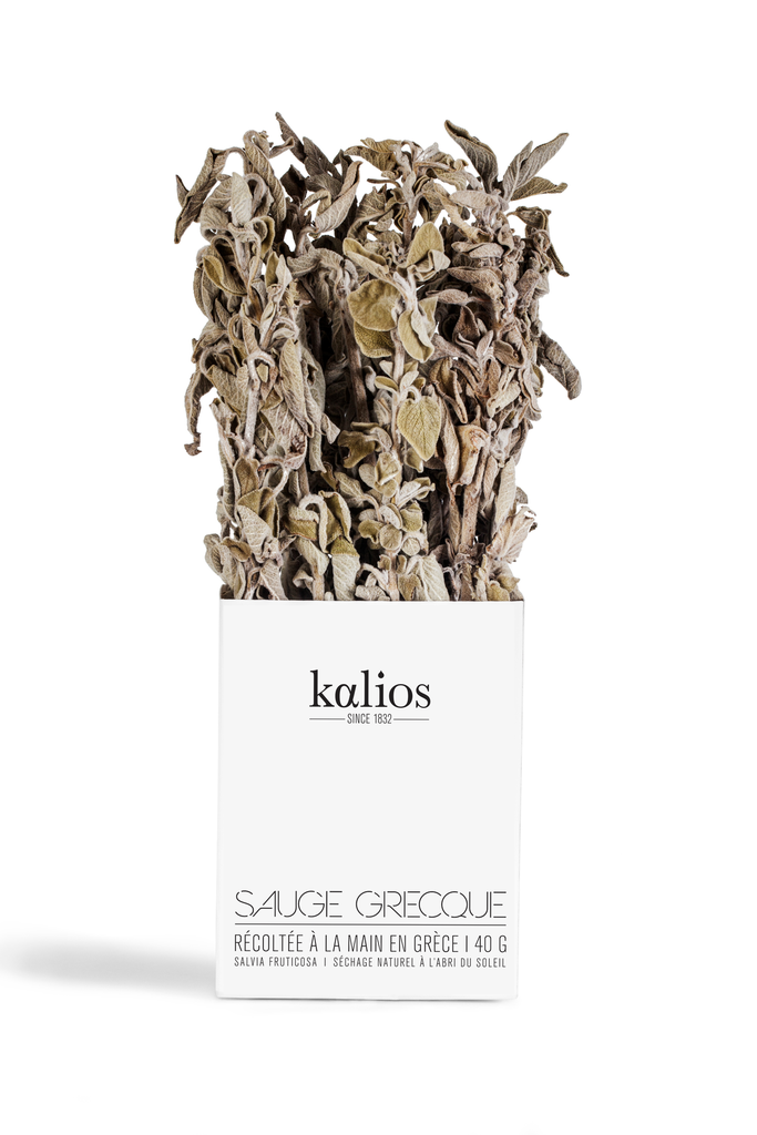 [KHSAU] Sauge des Montagnes de Grèce