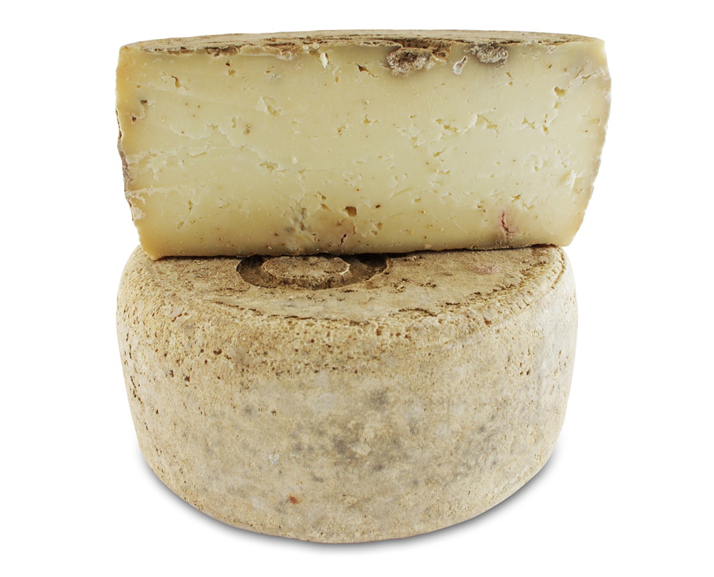 [BEI-237] GROSSE TOMME