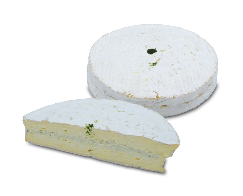 PETIT MORIN AIL DES OURS