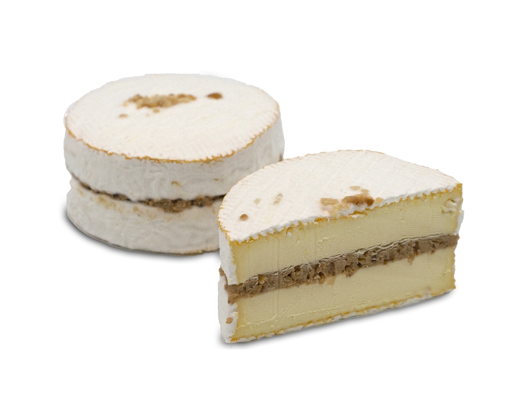 [BEI-4537] SAINT SIMEON NOISETTE PRALINE